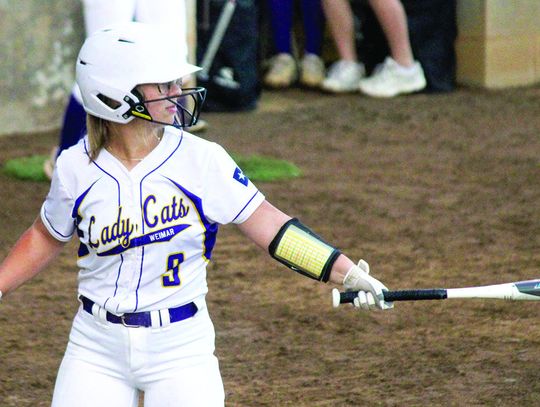 15 Ladycats selected to Academic All-District team