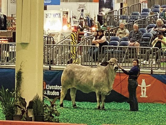 4-H’ERS SCORE AT THE RODEO