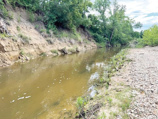 A FIRST FOR RIVER WATCH PROGRAM