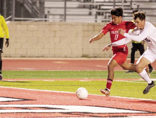 Bay City grounds soaring Cardinals