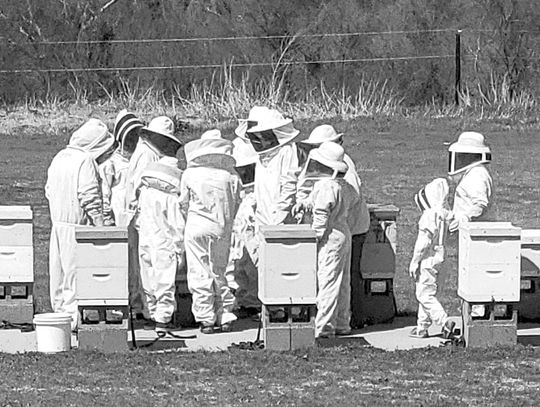 Beekeeping: An educational family experience