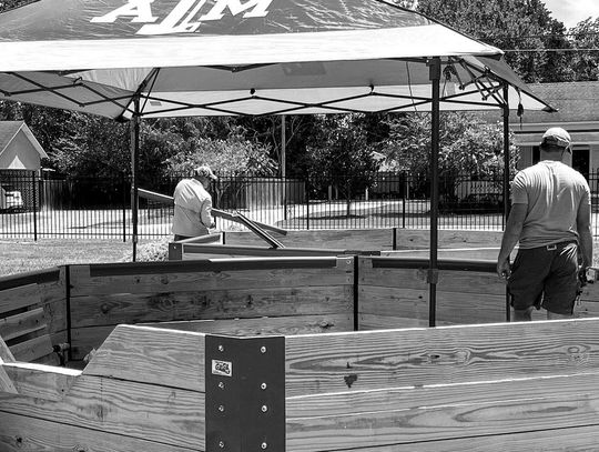 BRAND NEW GAGA BALL PIT