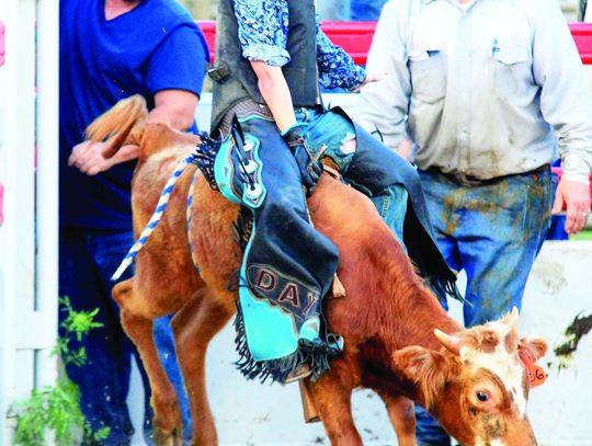 Brave youth bullrider bucks fear to reach rodeo royalty