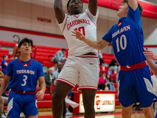 Cardinals 12 game winning streak snapped