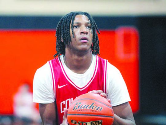 Cards are starting to settle into the season