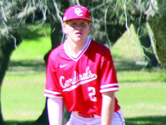 Cards kennel the Bulldogs