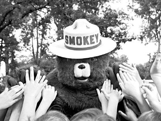 Celebrate Smokey Bear’s 79th birthday