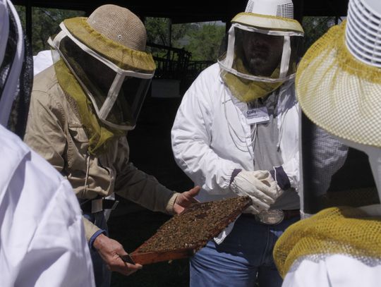 Students at the Bee School can suit up and watch while a hive of live bees is opened and inspected. The school will be held March 2 in Brenham. Courtesy photo