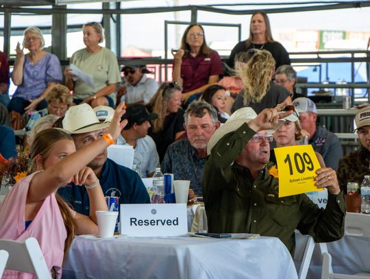 Champions and Livestock Show and Auction Results