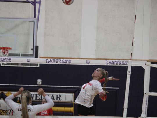 Colorado County Showdown: Ladycats host Lady Cards
