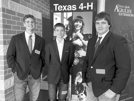 COLUMBUS 4-H MEMBERS SHINE AT CONTESTS