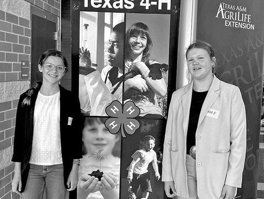 COLUMBUS 4-H MEMBERS SHINE AT CONTESTS