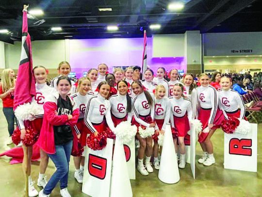 Columbus cheerleaders take top-15 placement at State