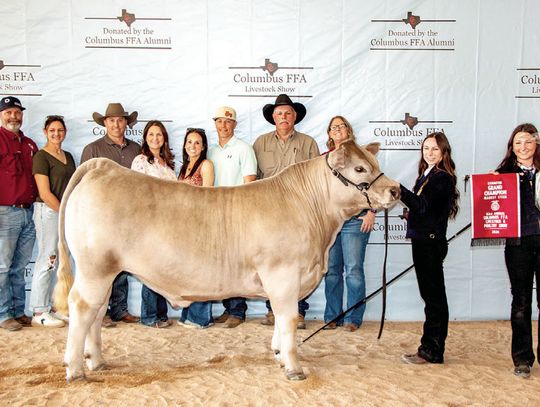 Columbus FFA Grand Champions