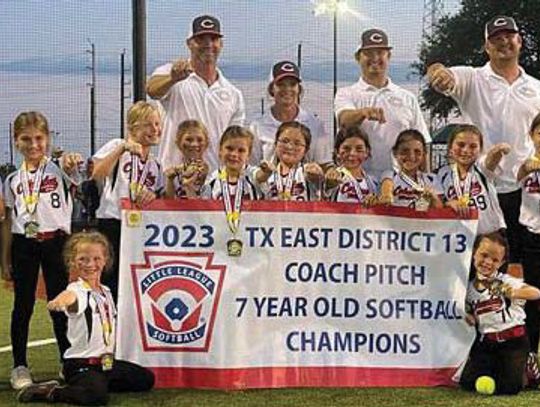 Columbus little leaguers win Area Championships