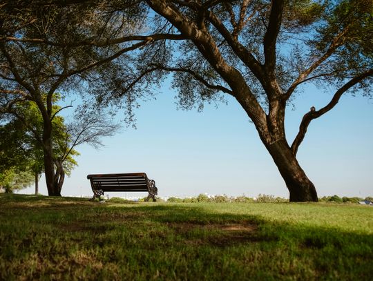 Columbus seeks community input for 20-year development plan