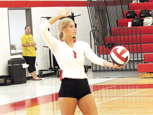 CONNECTIONS TO THE COUNTY: TAYLOR MORROW