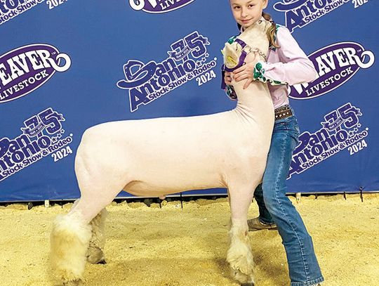 COUNTY 4-HERS TAKE ON SAN ANTONIO RODEO MARKET LAMB SHOW