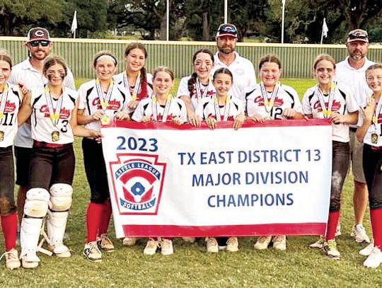 County Little League Teams journey from district to Sectionals