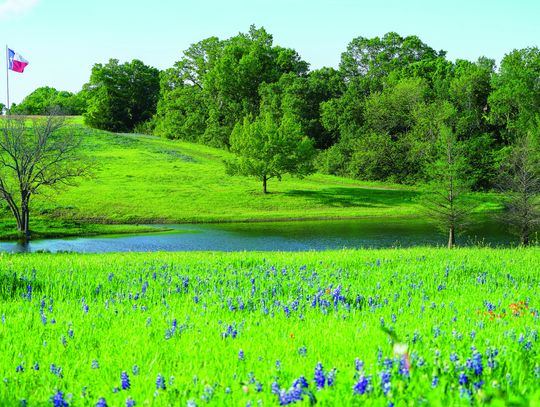 County sets pond maintenance program