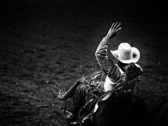 Deadline for Houston Rodeo scholarship nears