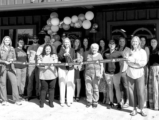 DORSETT DYE & ASSOCIATES REAL ESTATE CELEBRATE GRAND OPENING