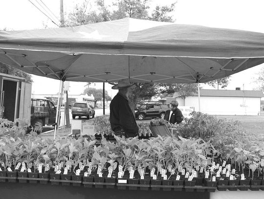 Eagle Lake Farmers and Community Market