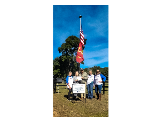 FLAG OF THE MONTH CHOSEN BY SONS AND DAUGHTERS OF THE AMERICAN REVOLUTION