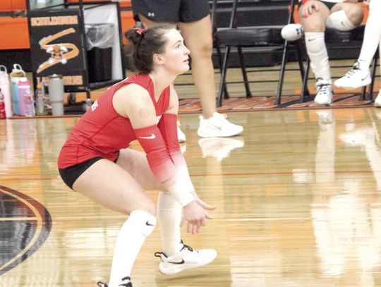 Four Lady Cards chosen for the Academic All-State team