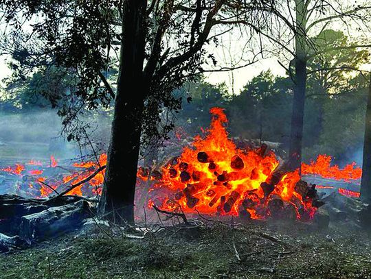 Frelsburg VFD has busy week with brush fires