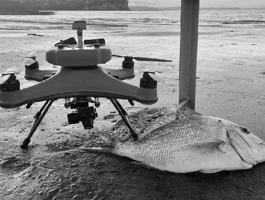 Guidance on federal airborne hunting act pertaining to fishing with drones