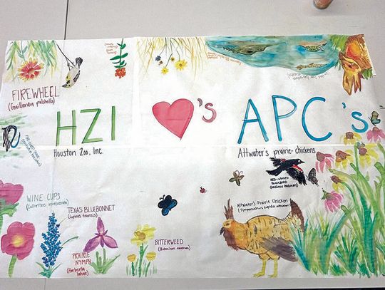HOUSTON ZOO HELPS OUT ATTWATER WILDLIFE REFUGE