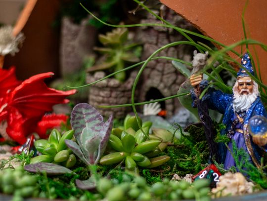 Garden club embraces creative fantasy with annual show