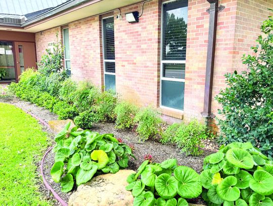 JULY COMMUNITY BEAUTIFICATION