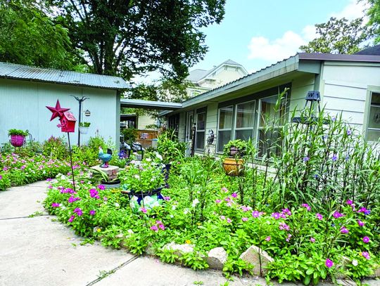 JULY YARD OF THE MONTH