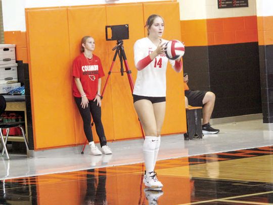 Lady Cards are 11-0 in District