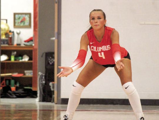 Lady Cards are a perfect 10-0 in District