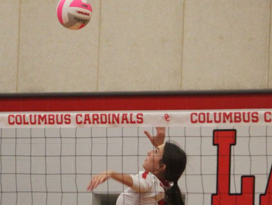 Lady Cards are Bi-District Champs