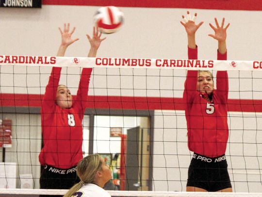 Lady Cards are still perfect in district play