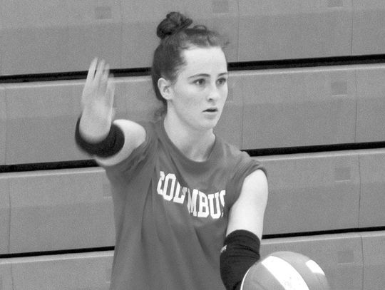 Lady Cards back to work