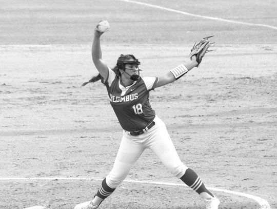 Lady Cards blow out the Sharkettes