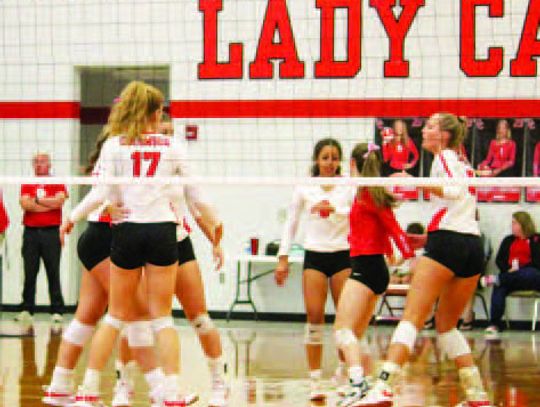 Lady Cards continue to roll against Tidehaven