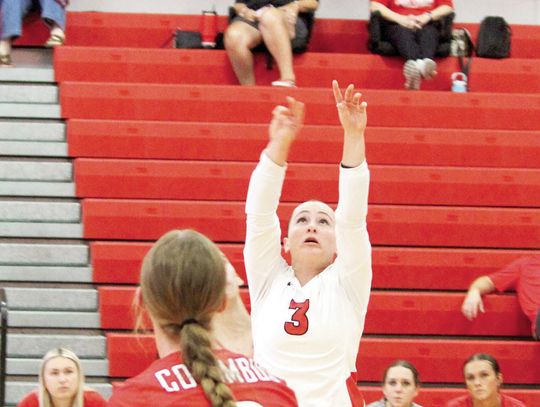 Lady Cards earn All-District honors