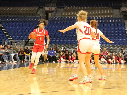 Lady Cards fall short in semi-finals