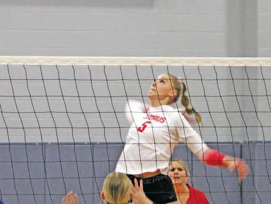 Lady Cards receive All-District Honors