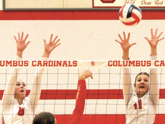 Lady Cards remain undefeated in district