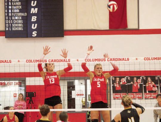 Lady Cards soar to regional semi-finals