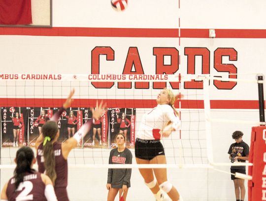 Lady Cards soaring in district schedule