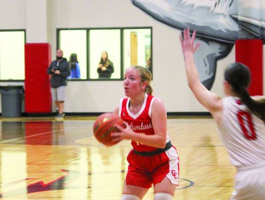 Lady Cards stump Sharkettes