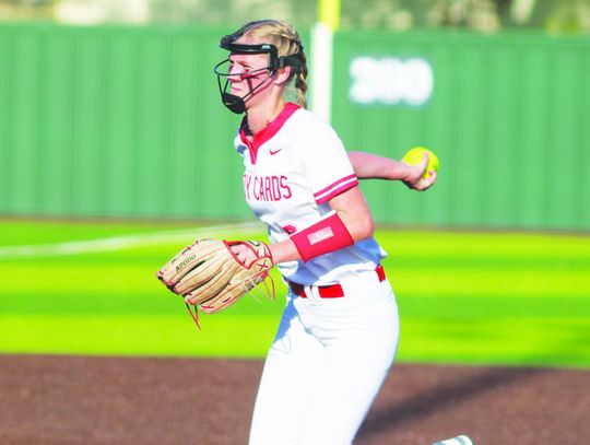 Lady Cards win area championship